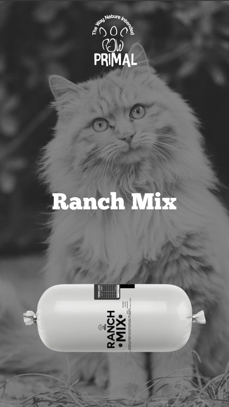 Original Ranch Mix per kg
