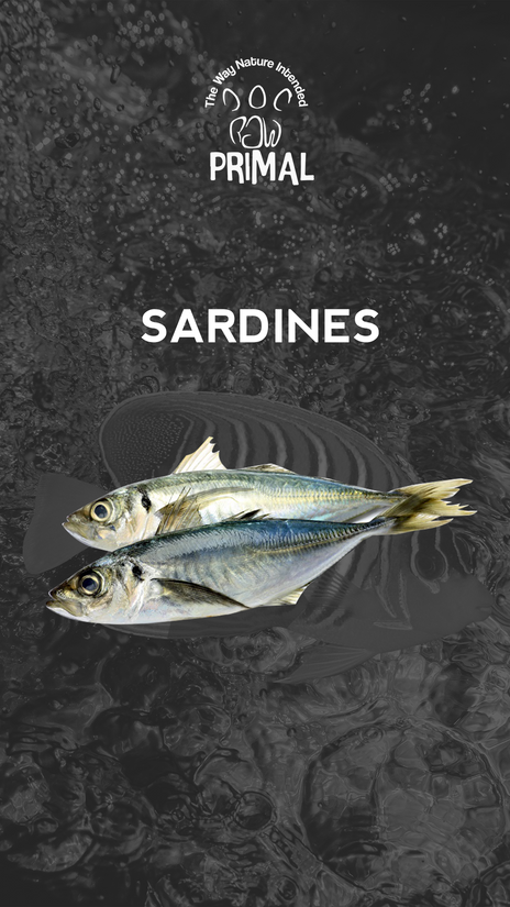 Sardines per 500g